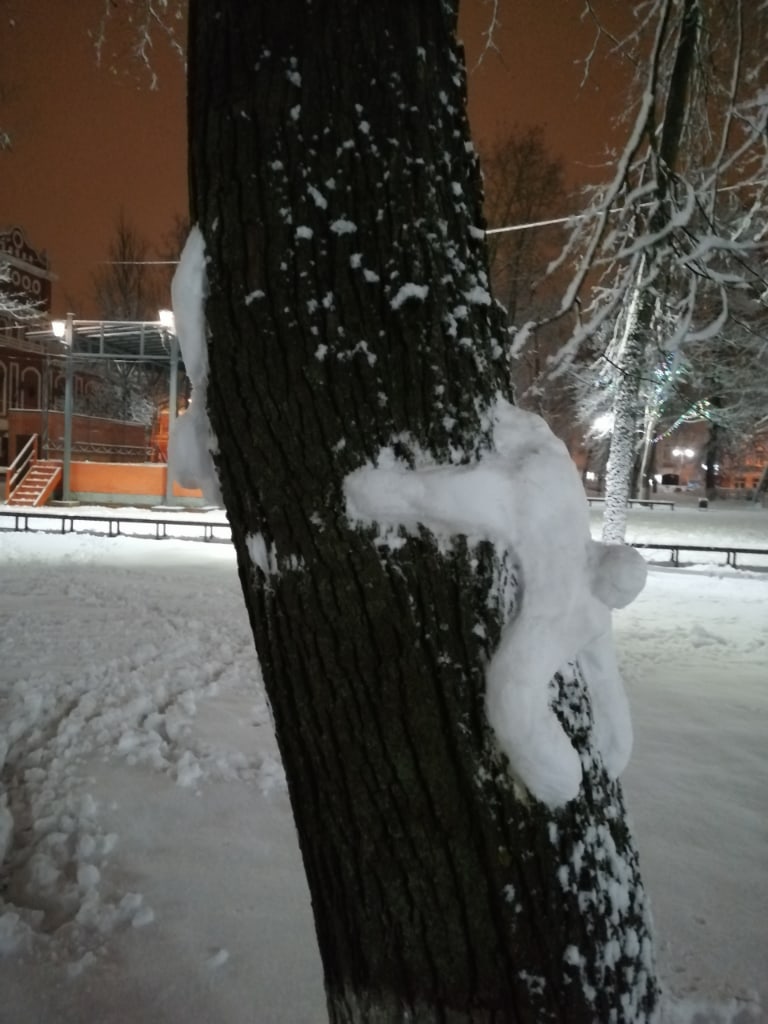 В Тверской области слепили забавных снеговиков