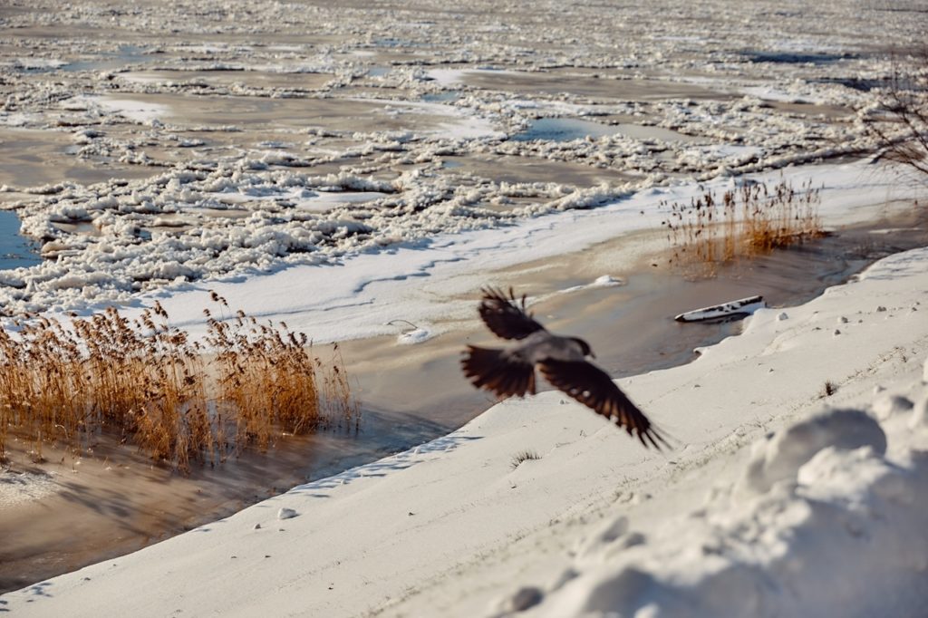 Жителей Твери предупредили о низком атмосферном давлении Жителей Твери предупредили о низком атмосферном давлении