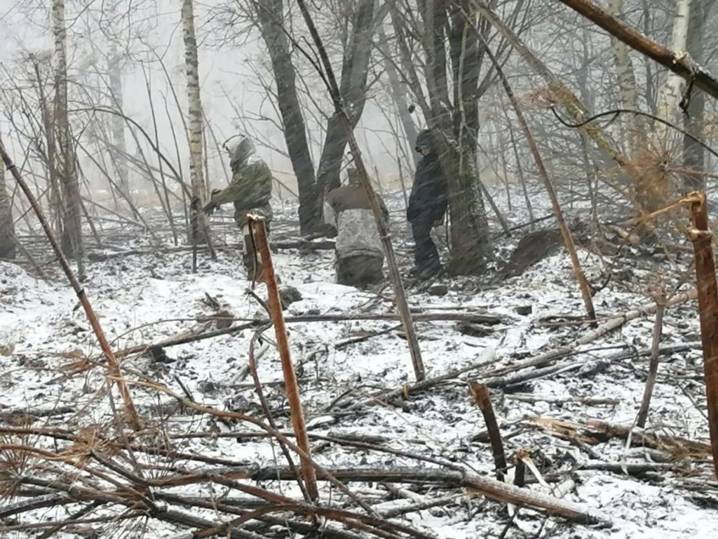 Кабаны помогли найти останки солдат в Тверской области
