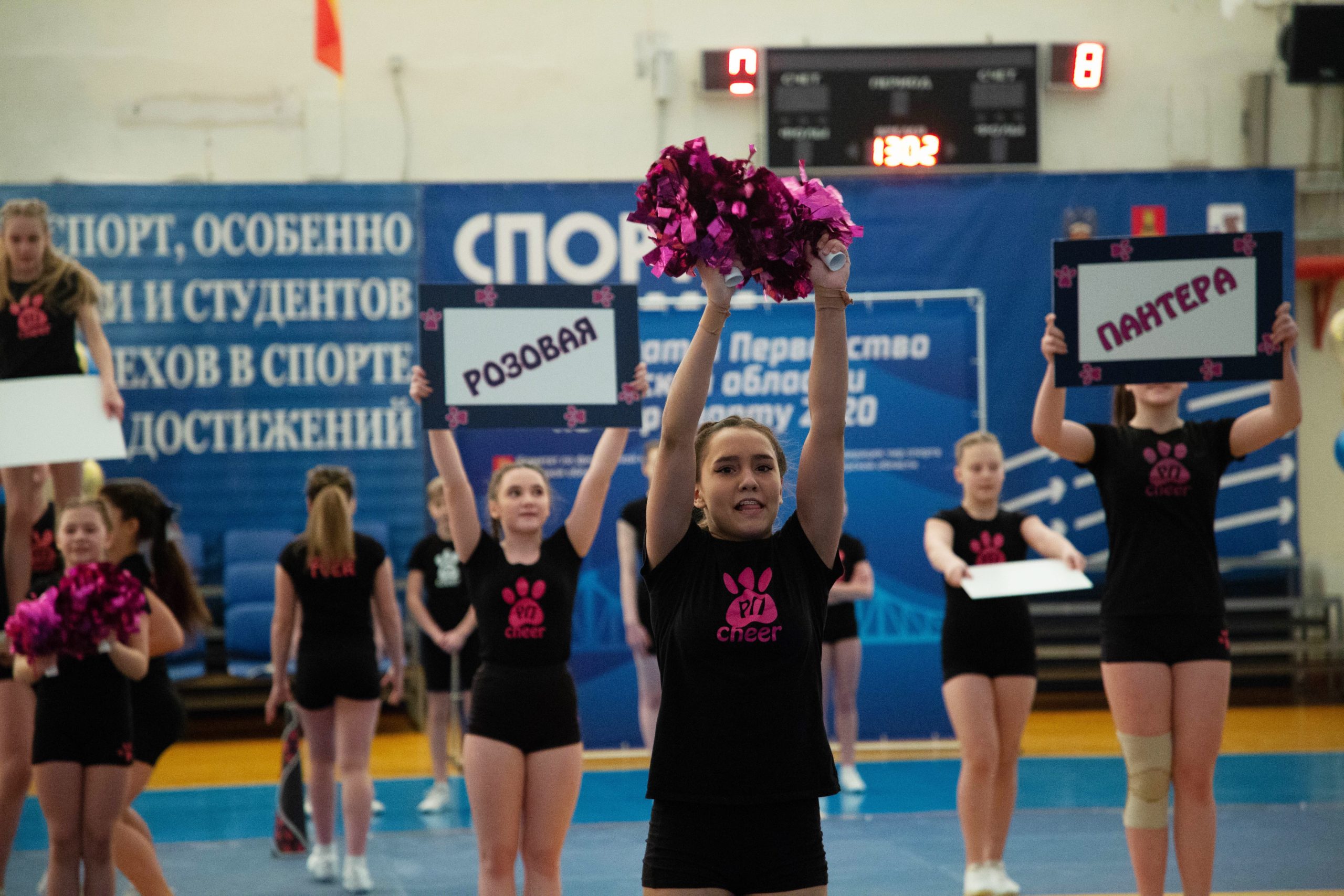 В Твери прошел чемпионат области по черлидингу