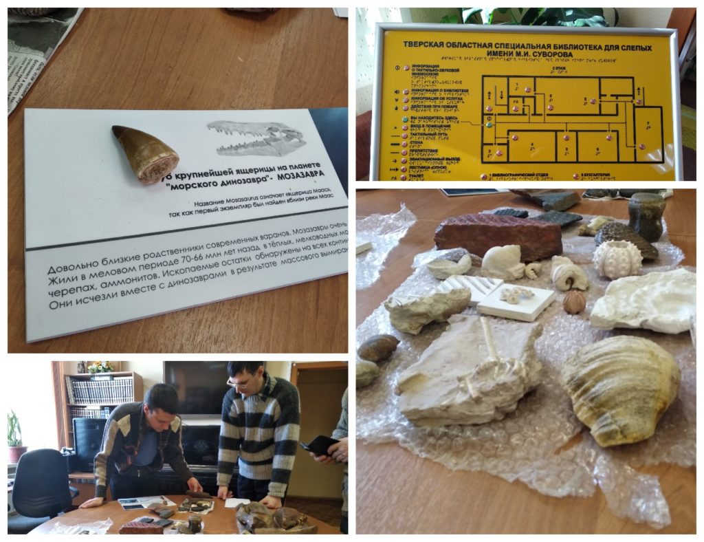 Спецпроект "Тверьлайф": Тактильную палеонтологическую выставку провели в Твери Спецпроект "Тверьлайф": Тактильную палеонтологическую выставку провели в Твери