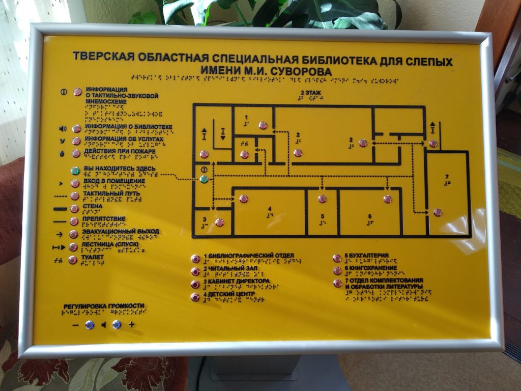 Спецпроект "Тверьлайф": Тактильную палеонтологическую выставку провели в Твери