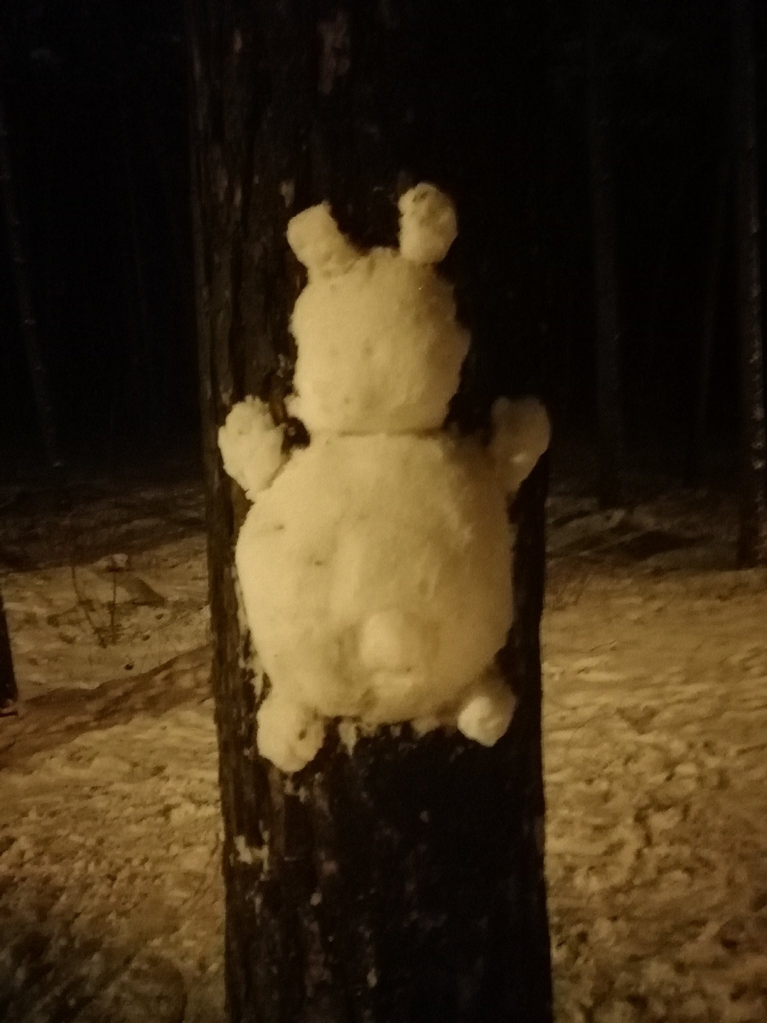 В Твери появились снежные звери, которые обнимают деревья