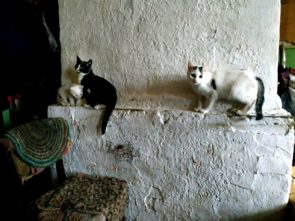 В тверских селениях живут 95-летние "царицы"