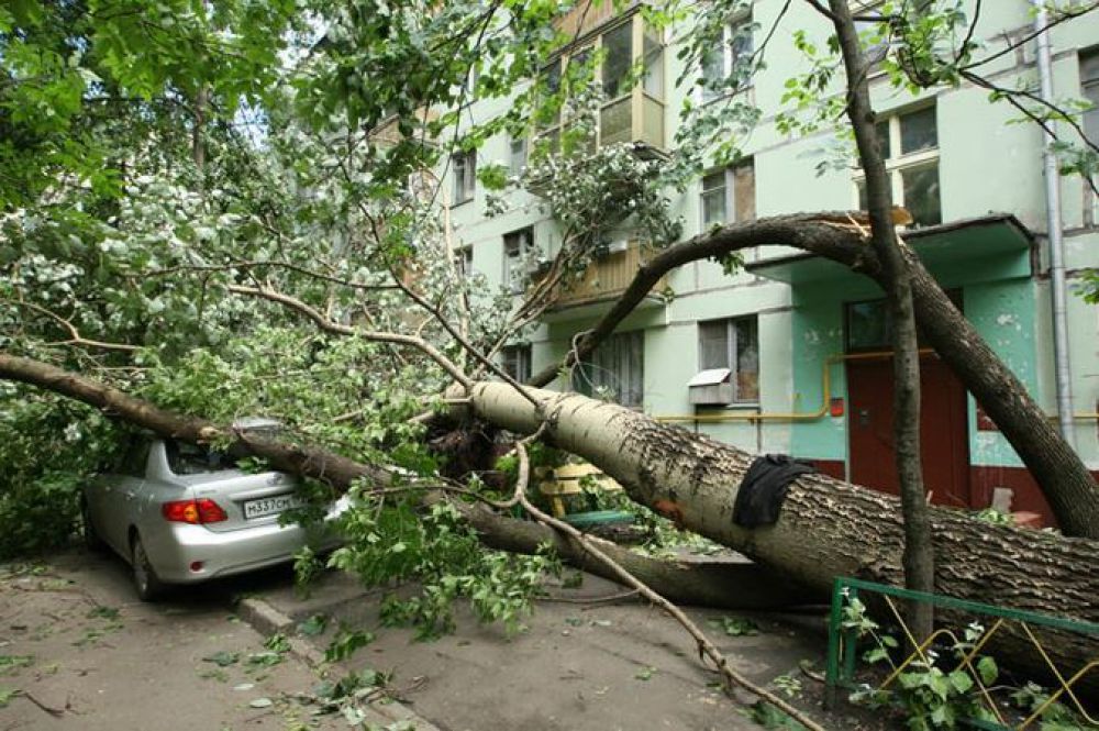 Последствия урагана в России