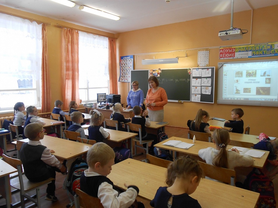 Ученики Сандовской школы смастерили кормушки и помогли птицам