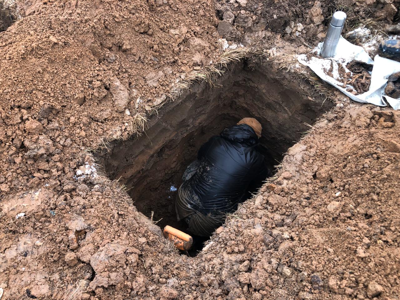 В Тверской области обнаружили останки семи солдат