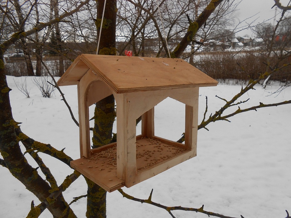 Ученики Сандовской школы смастерили кормушки и помогли птицам