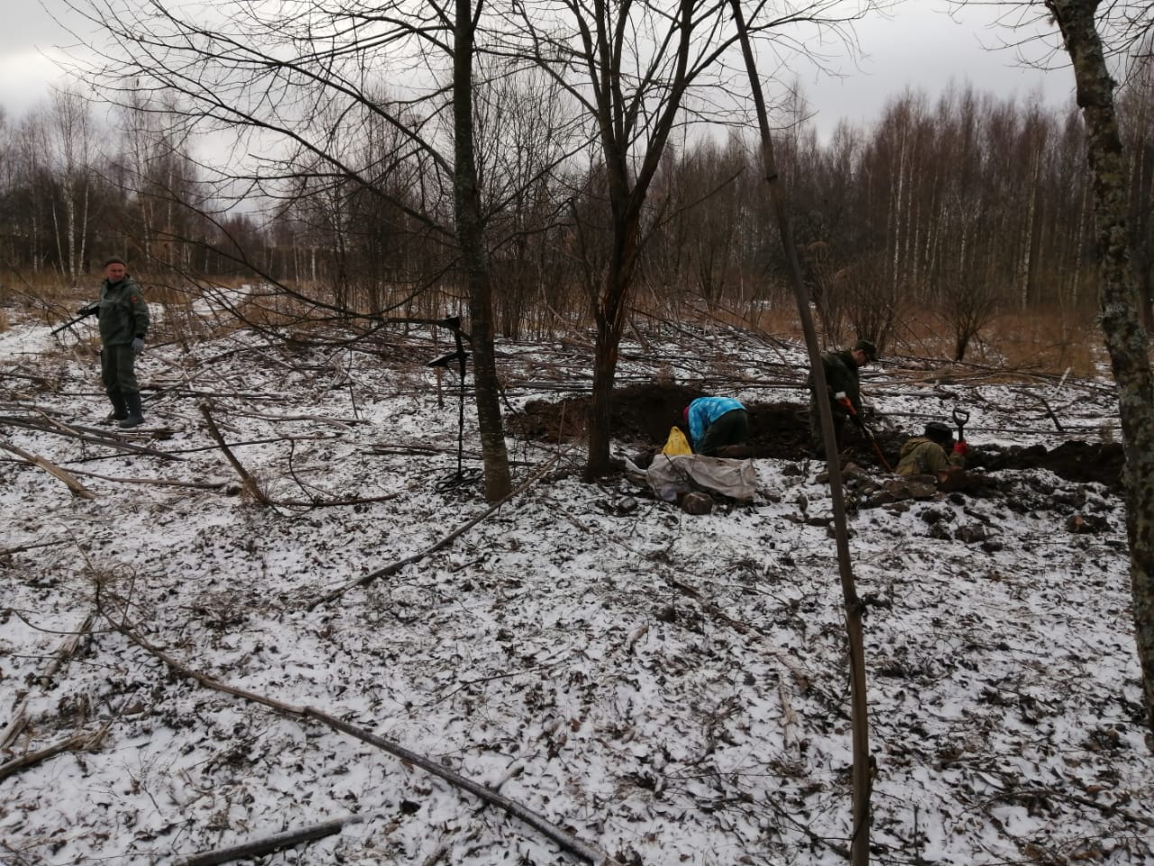 Кабаны помогли найти останки солдат в Тверской области