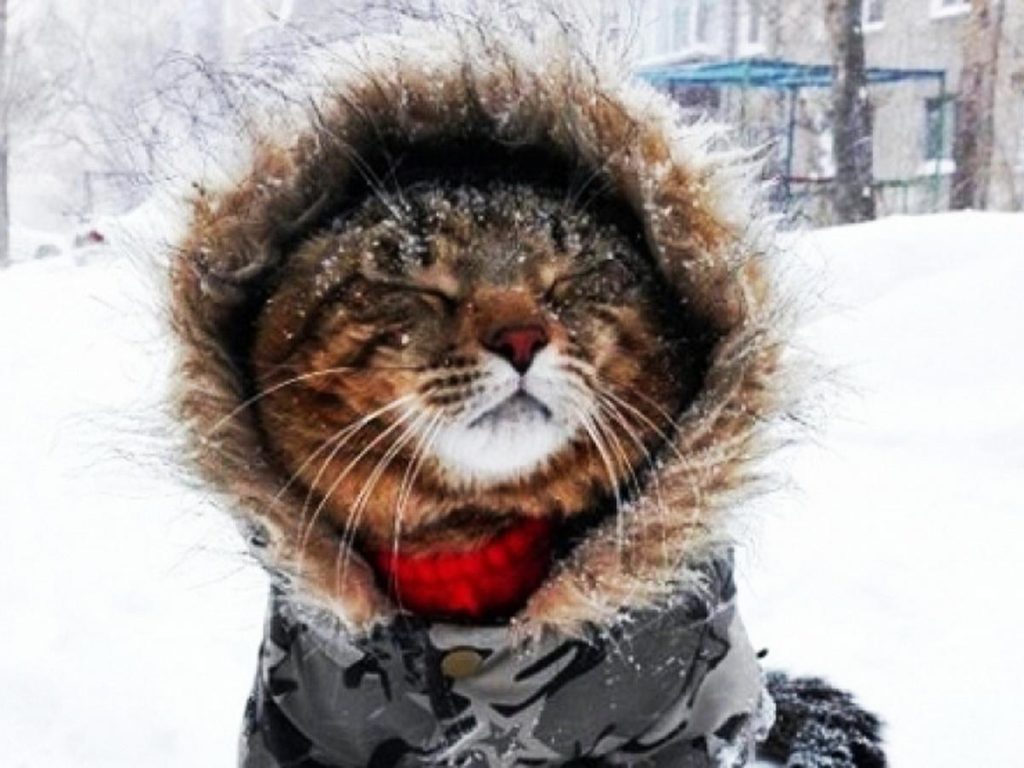 Тверь ждет пасмурная пятница