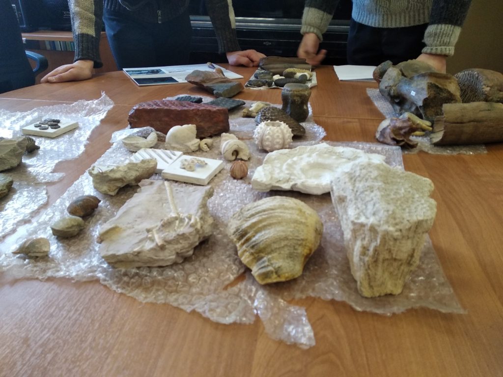 Спецпроект "Тверьлайф": Тактильную палеонтологическую выставку провели в Твери