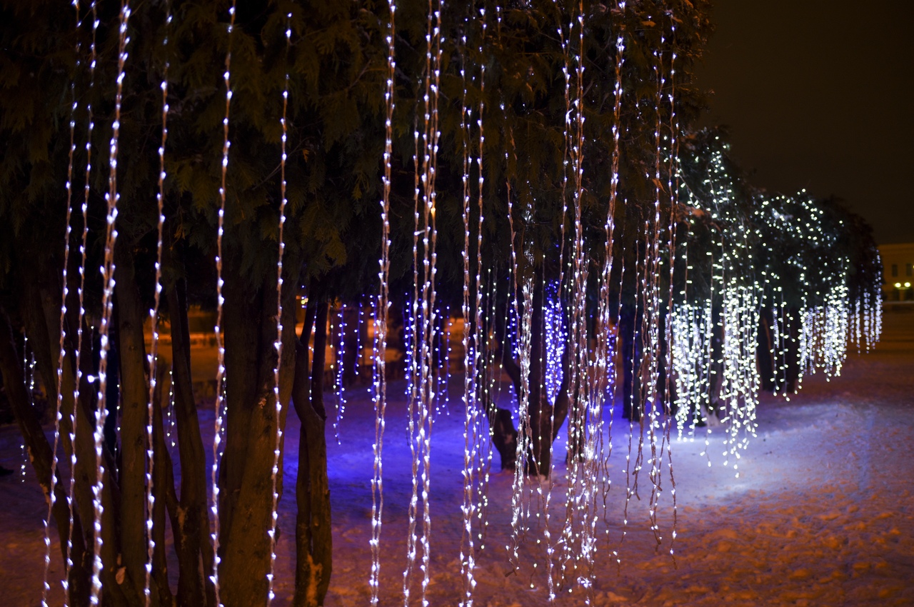 Жители и гости города спешат сфотографироваться с тверской "Эйвой"