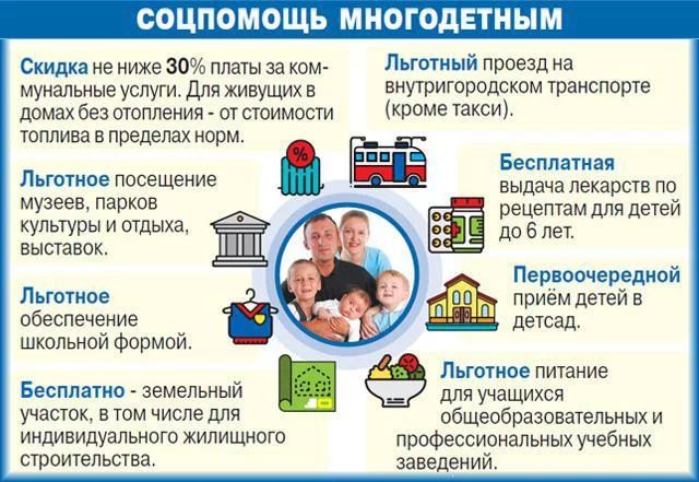 Ольга Докучаева: Органы соцзащиты населения должны беседовать с многодетными родителями Ольга Докучаева: Органы соцзащиты населения должны беседовать с многодетными родителями