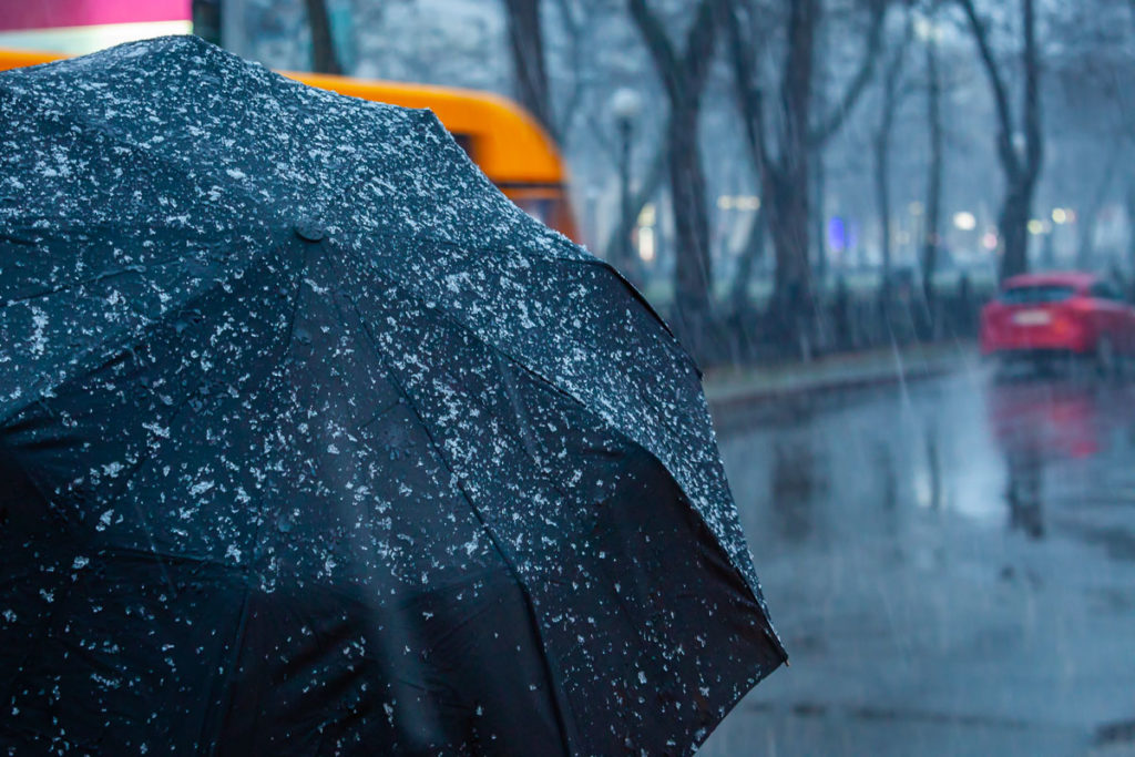 В Твери задержится дождливая погода В Твери задержится дождливая погода