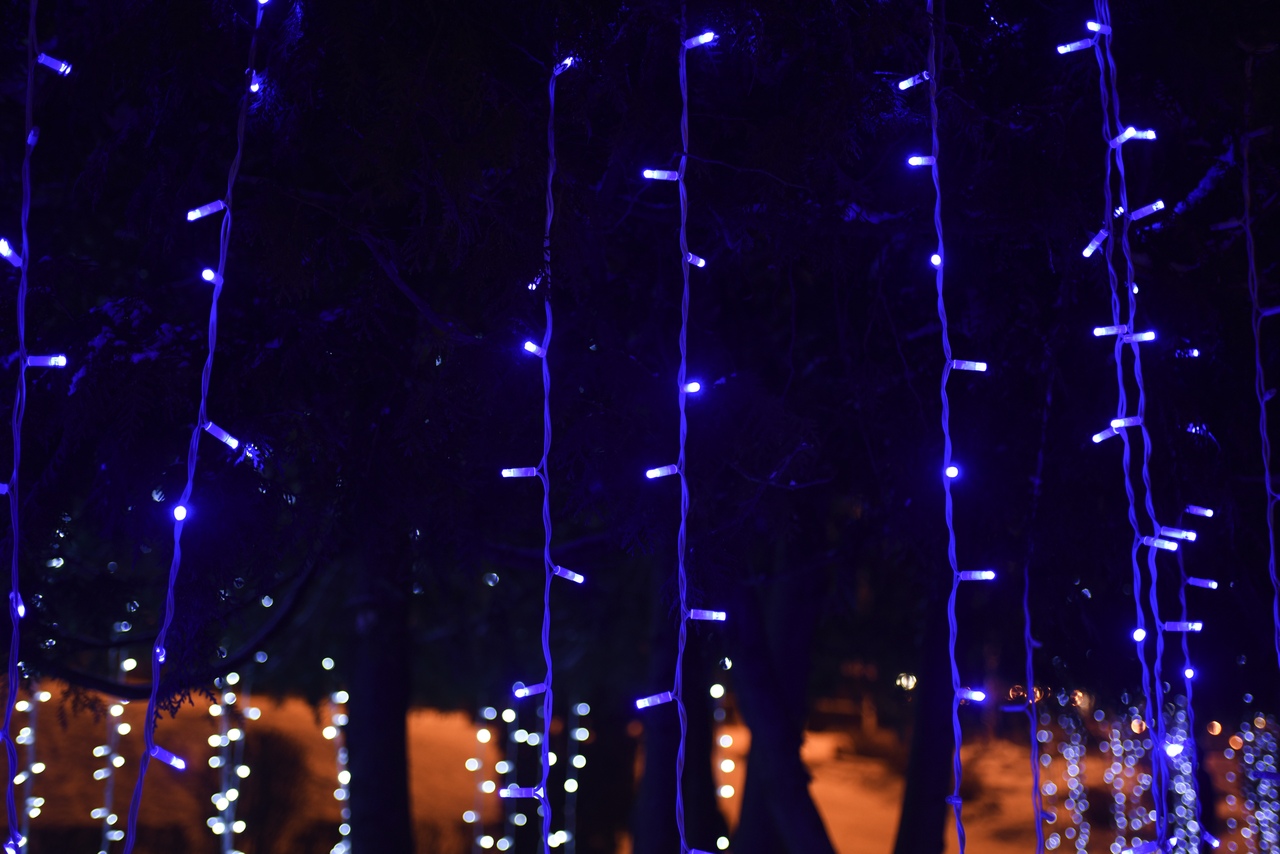 Жители и гости города спешат сфотографироваться с тверской "Эйвой"