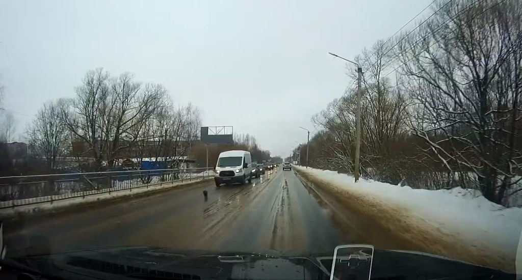 В Кимрах песик не давал водителям превышать скорость В Кимрах песик не давал водителям превышать скорость