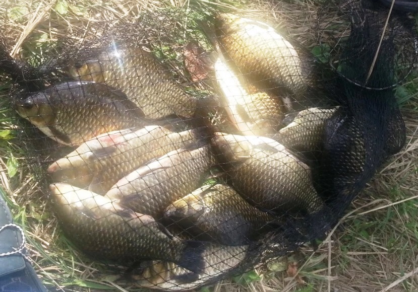 В Тверской области продают участок с рыбным озером за 15 миллионов рублей