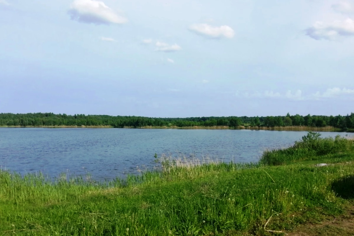 В Тверской области продают участок с рыбным озером за 15 миллионов рублей