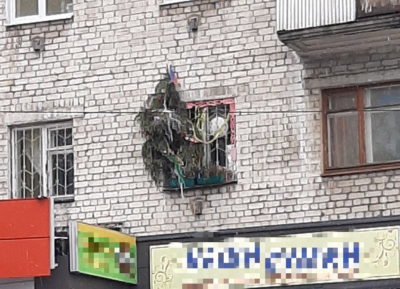 Житель Твери выставил одинокую новогоднюю ёлку за окно Житель Твери выставил одинокую новогоднюю ёлку за окно
