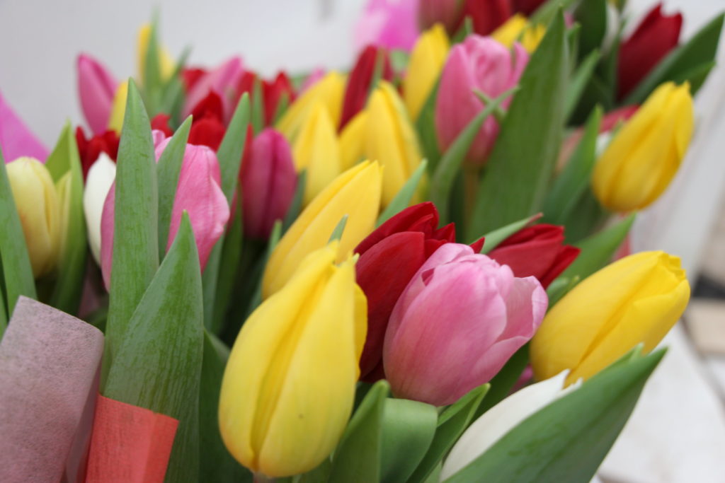 Стало известно, на каких маршрутах жительницы Твери получат букет Стало известно, на каких маршрутах жительницы Твери получат букет