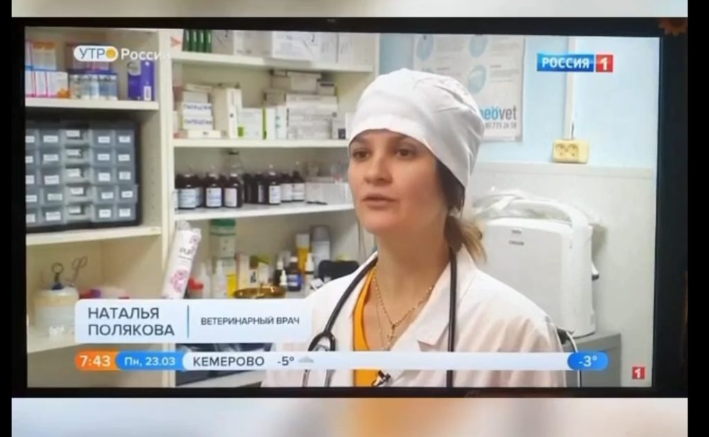 Тверской ветеринар рассказала о коронавирусе у животных Тверской ветеринар рассказала о коронавирусе у животных