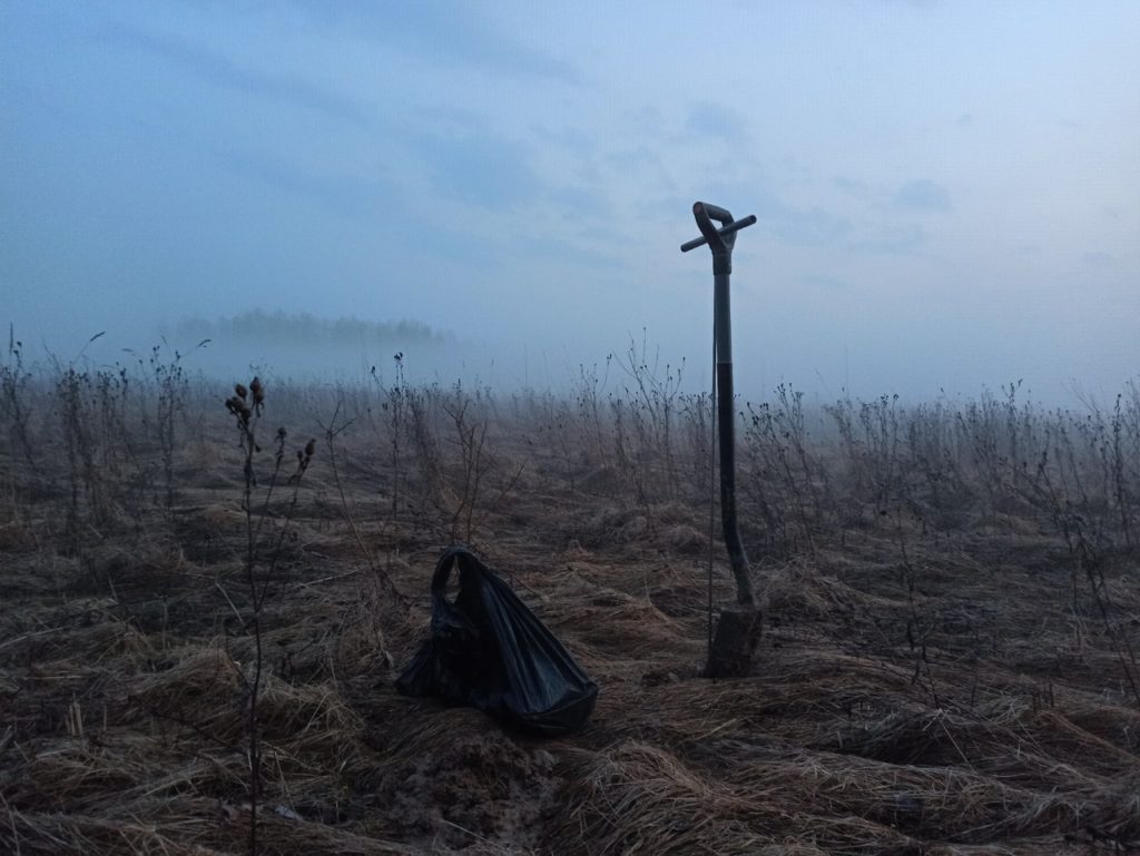 В Тверской области обнаружили останки трех красноармейцев