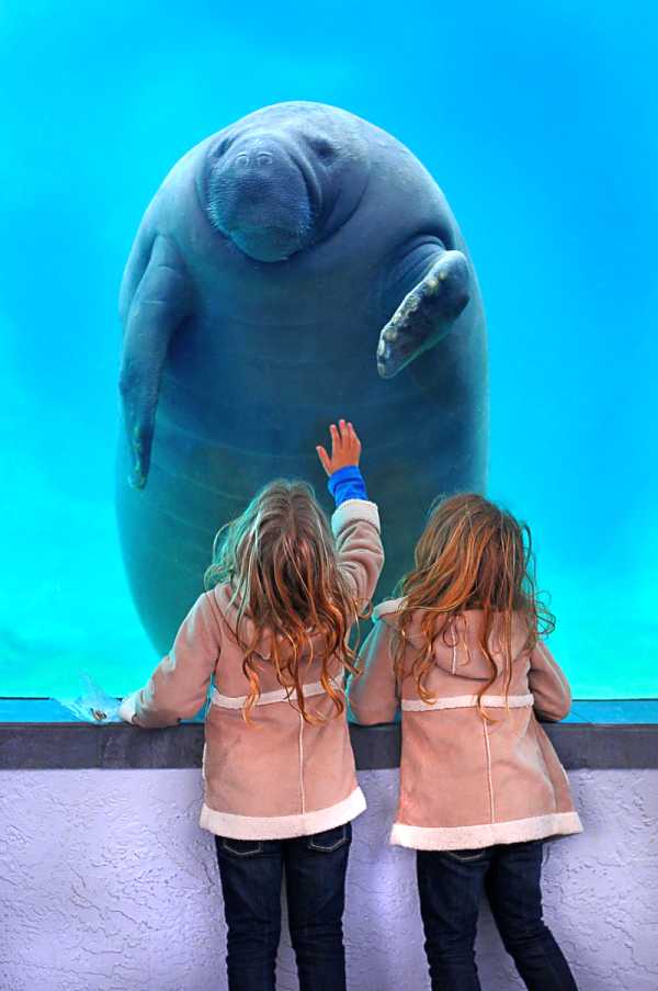 Жителей Твери приглашают увидеть «100 чудес света»