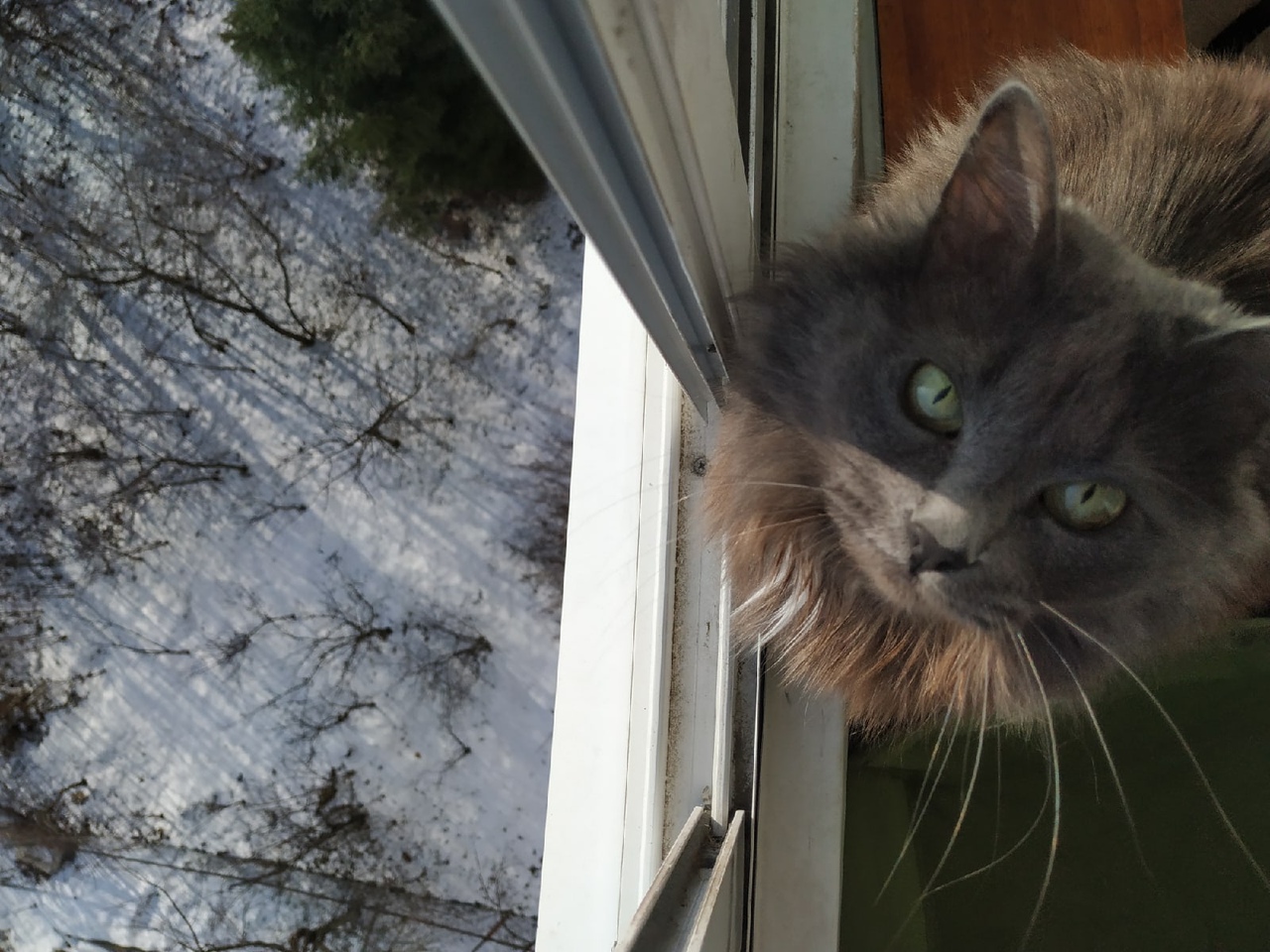 В небе над Тверью появилось необычное атмосферное явление