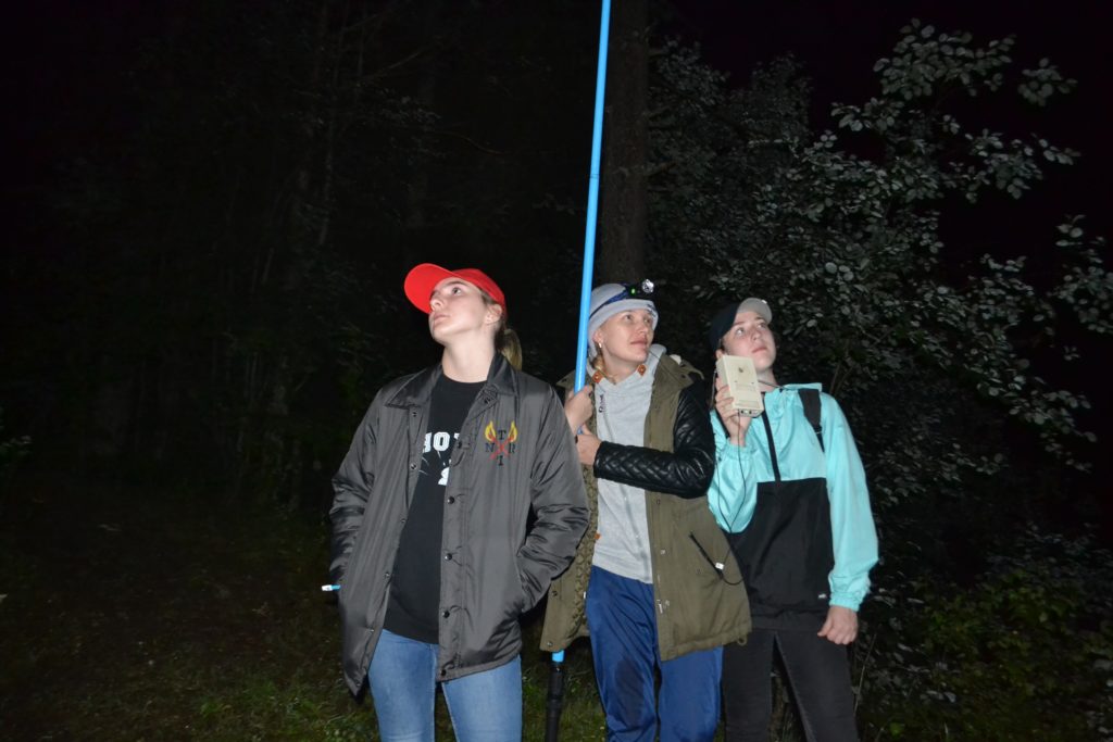 Летучие мыши из Тверской области довели школьницу до финала Всероссийского конкурса