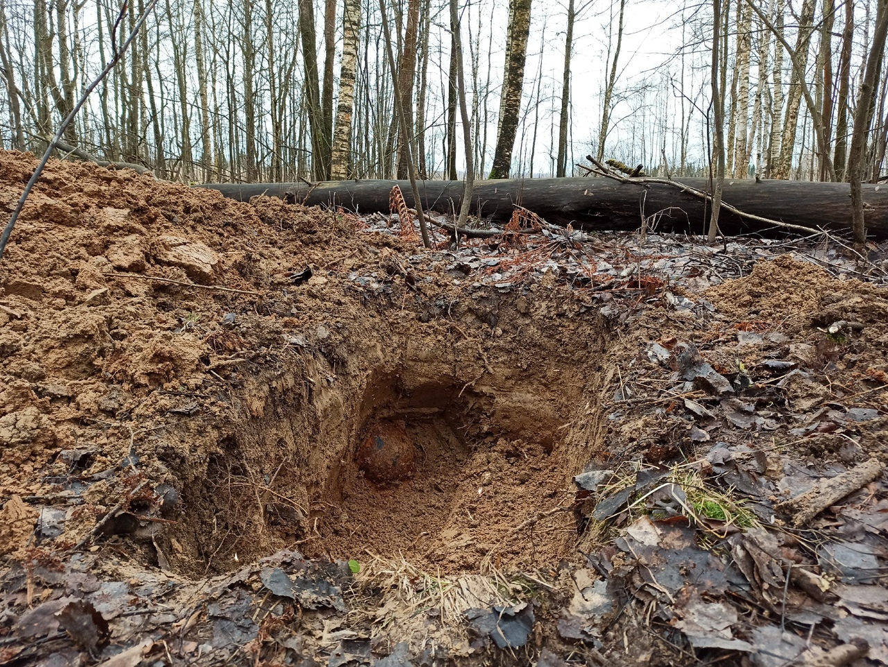 В Тверской области обнаружили останки трех красноармейцев