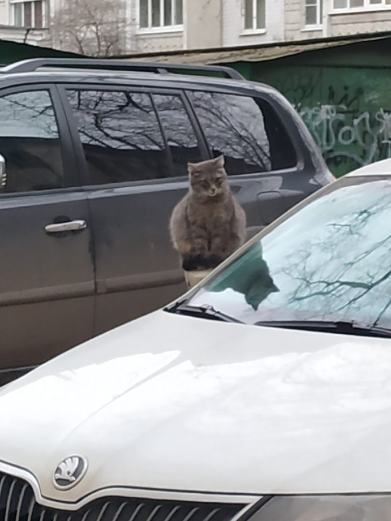 Охранная видеокамера нового поколения обнаружена на автомобиле в Твери Охранная видеокамера нового поколения обнаружена на автомобиле в Твери