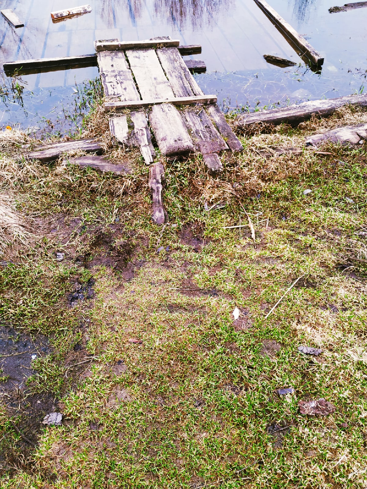 Парадоксы погоды в Тверской области