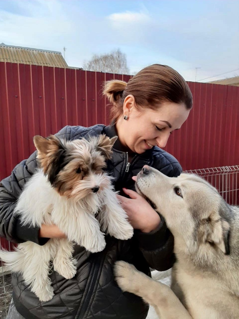 Тверские фитнес-клубы предлагают делиться фотографиями