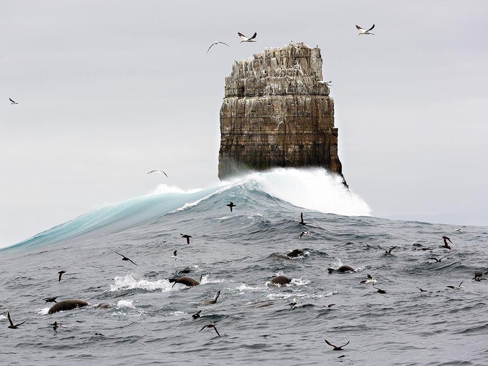 Жителей Твери приглашают увидеть «100 чудес света»