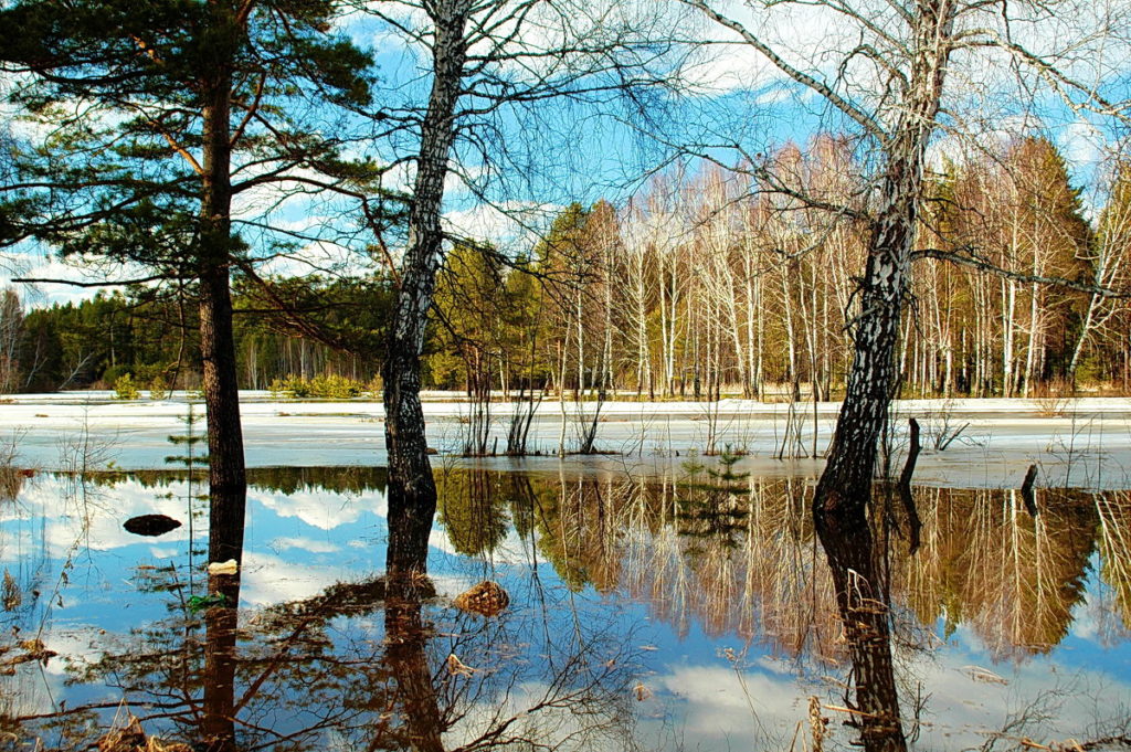 В случае паводка для жителей Тверской области развернут девять пунктов эвакуации В случае паводка для жителей Тверской области развернут девять пунктов эвакуации
