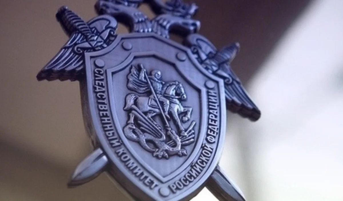 Пропавшая в Тверской области школьница сама вернулась домой Пропавшая в Тверской области школьница сама вернулась домой