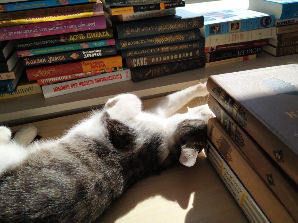 Жители Тверской области будут отдыхать меньшее количество дней