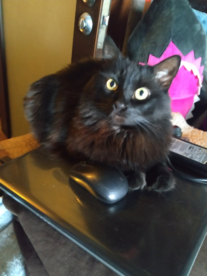 Корреспондент «Тверьлайф» Елизавета Супонева присоединилась к флешмобу #Оставайся дома