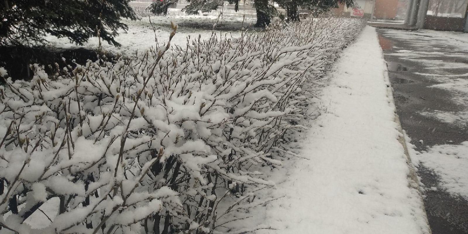 В Тверской области выпал снег