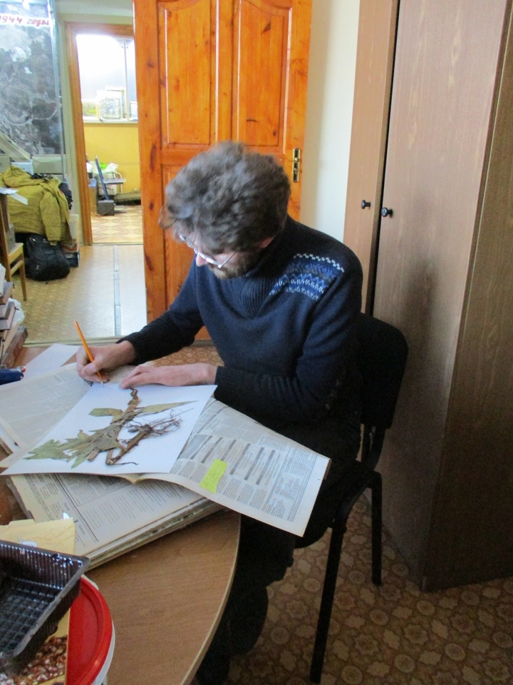 Ученый из Санкт-Петербурга приехал посмотреть на гербарий из Тверской области