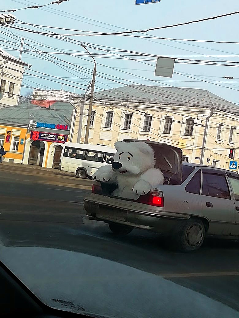 Тверские водители отслеживали передвижение огромной игрушки по городу