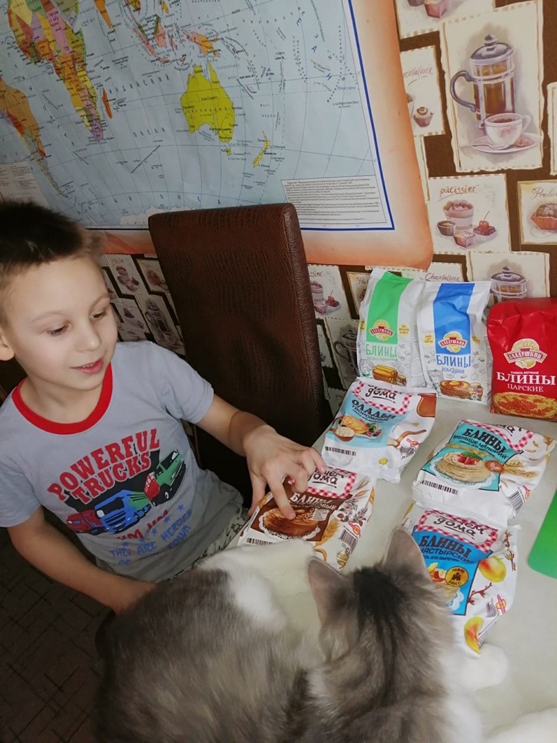 Бездомный кот Грэй обрел семью в Твери и открыл кулинарный талант