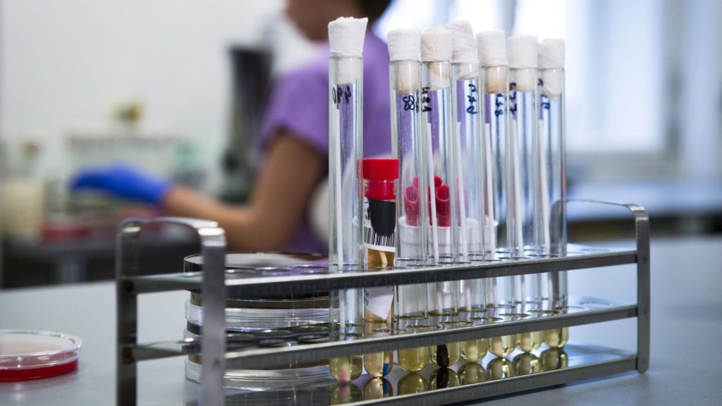 В Твери учатся отличать грипп от вируса В Твери учатся отличать грипп от вируса