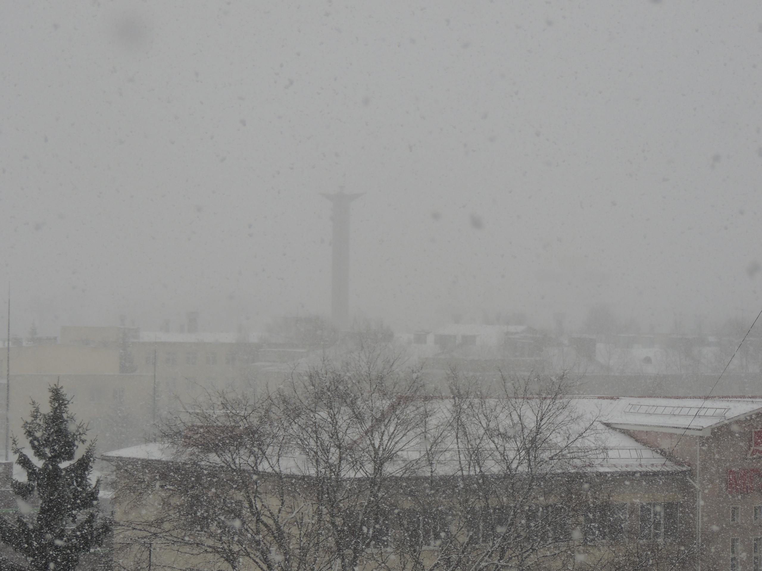В Тверской области выпал снег