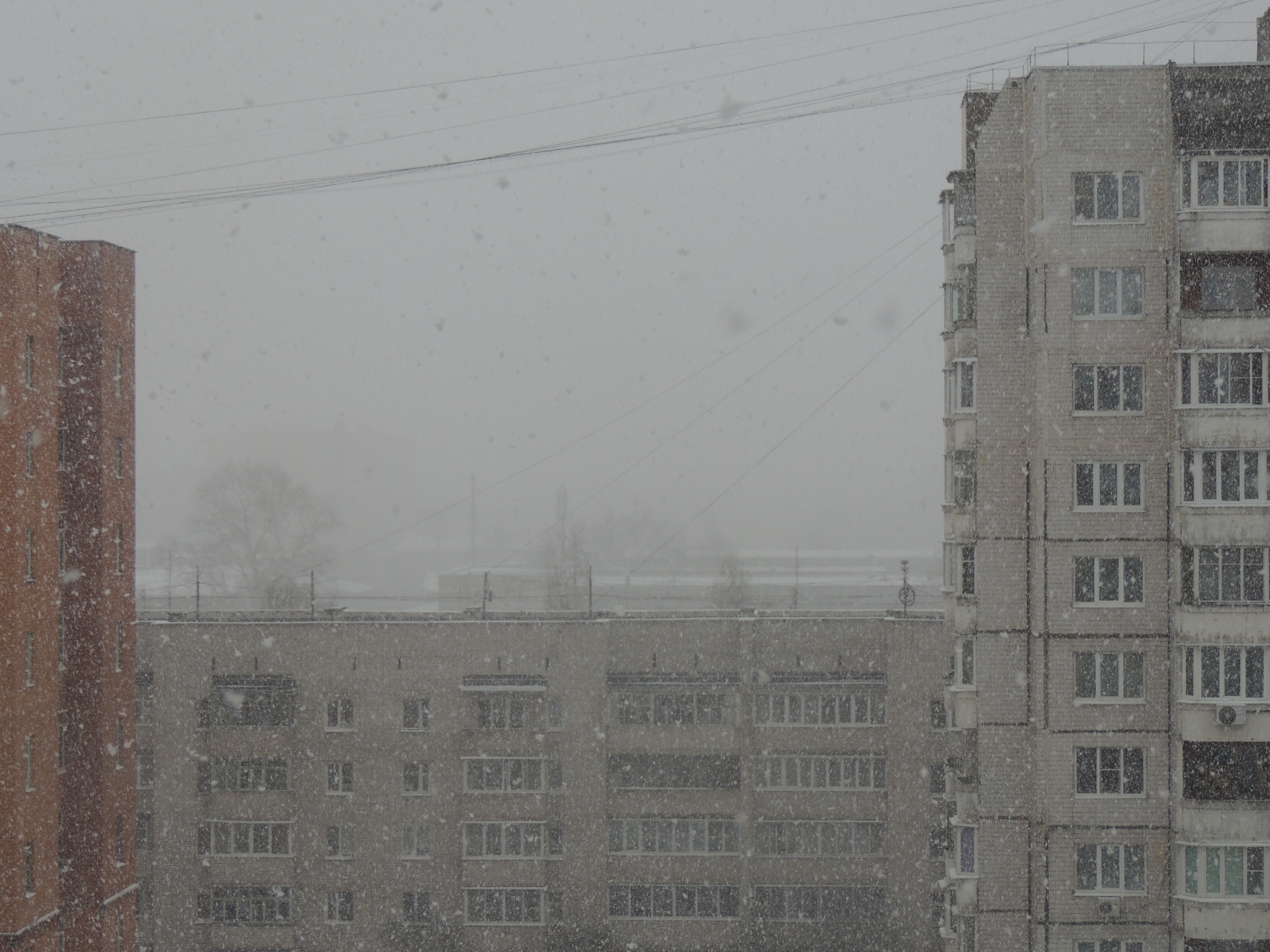 В Тверской области выпал снег