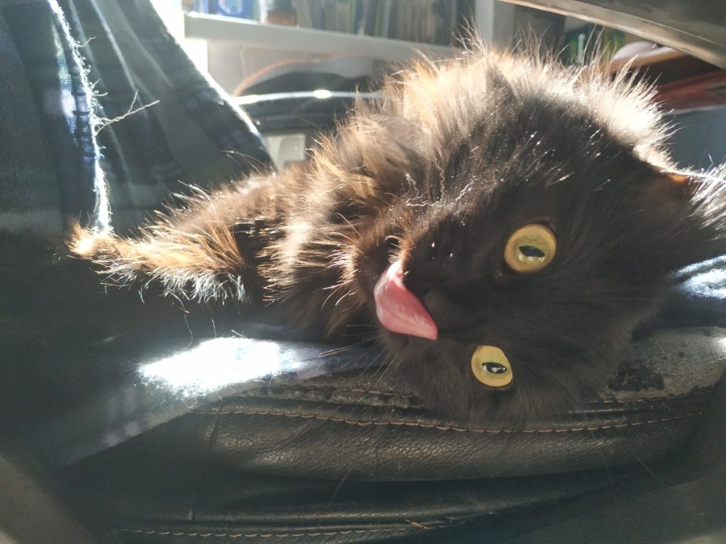 Жители Тверской области будут отдыхать меньшее количество дней Жители Тверской области будут отдыхать меньшее количество дней