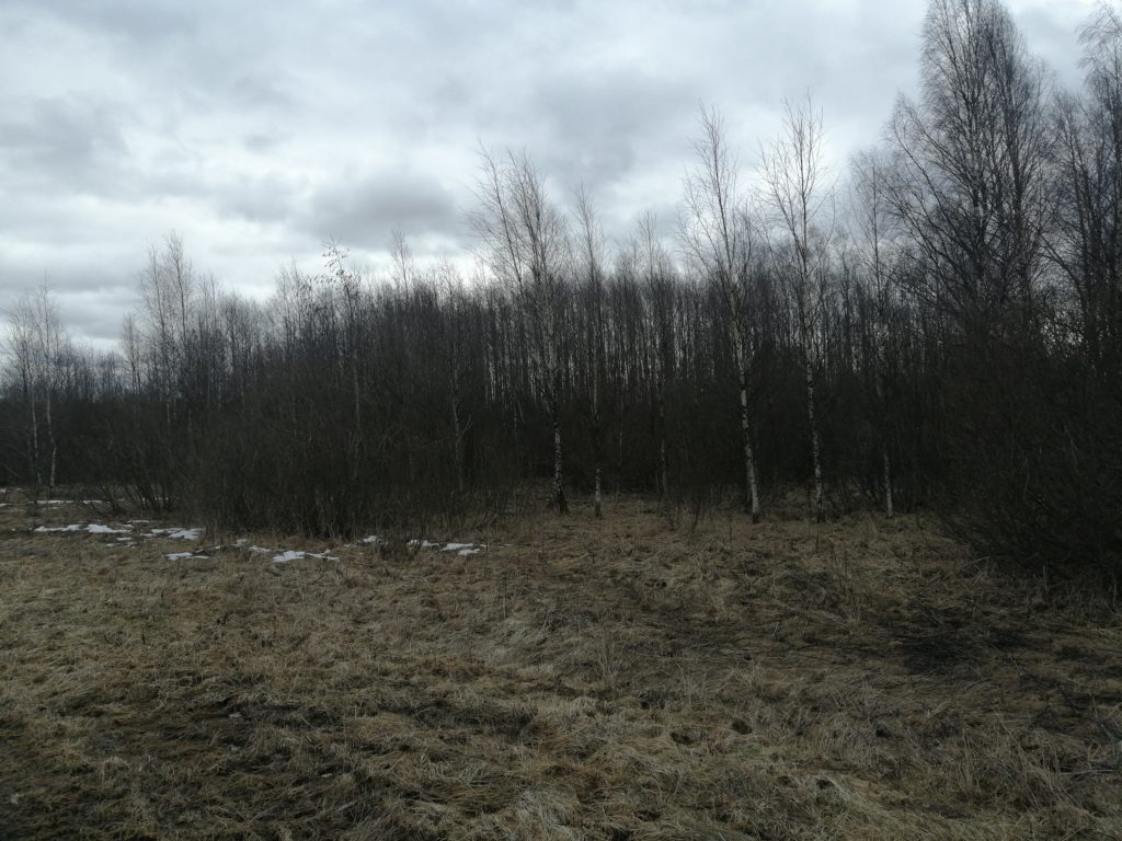 В преддверии пожароопасного периода собственнику заросших земель сельскохозяйственного назначения выдано повторное предписание В преддверии пожароопасного периода собственнику заросших земель сельскохозяйственного назначения выдано повторное предписание