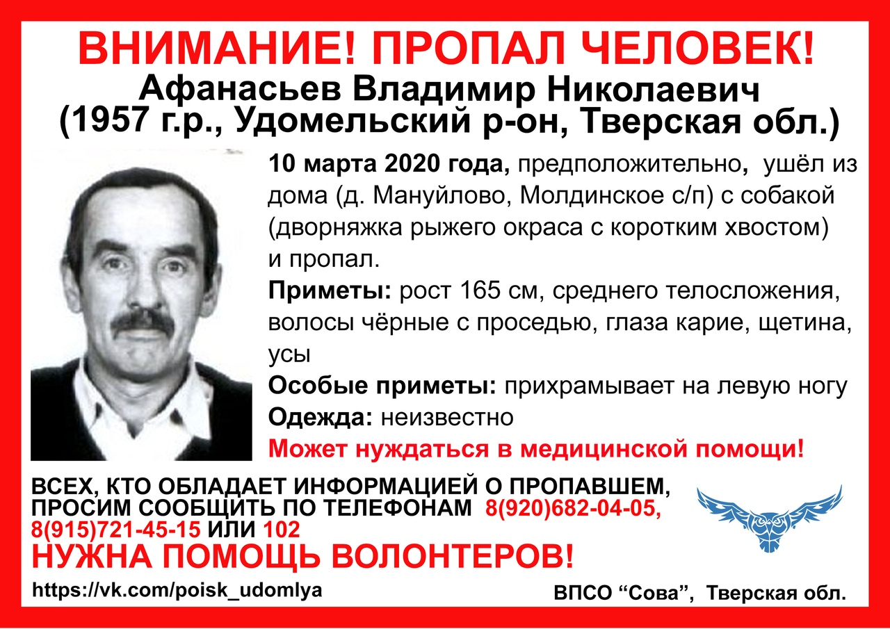 В Тверской области пропал мужчина, который ушел гулять с собакой