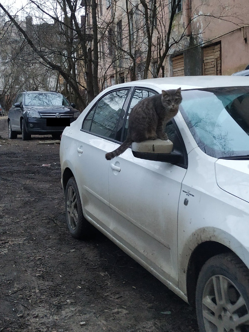Охранная видеокамера нового поколения обнаружена на автомобиле в Твери