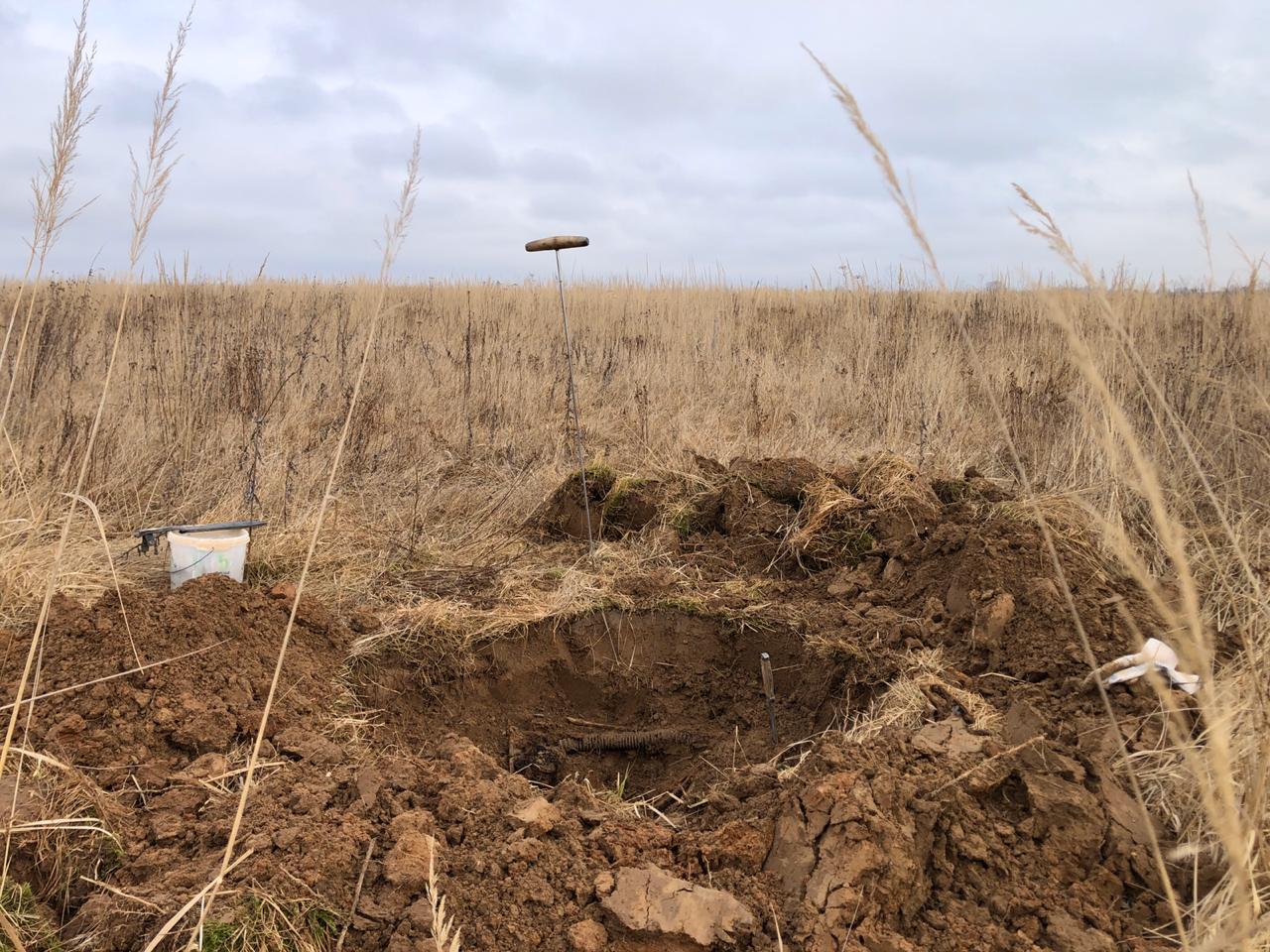 В Тверской области нашли останки пяти красноармейцев